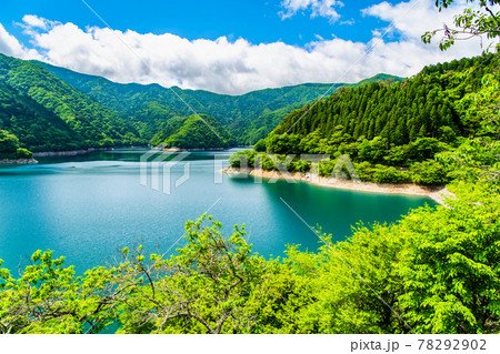 東京都奥多摩町 新緑の小河内ダム 東京都奥多摩町 新緑の小河内ダム 78292902