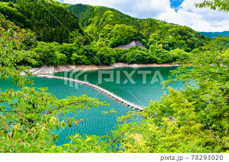 東京都奥多摩町 奥多摩湖のドラム缶橋（麦山の浮橋） 78293020