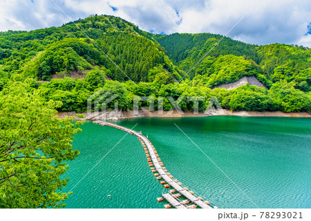 東京都奥多摩町 奥多摩湖のドラム缶橋（麦山の浮橋） 78293021
