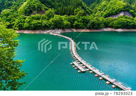 東京都奥多摩町 奥多摩湖のドラム缶橋（麦山の浮橋） 78293023