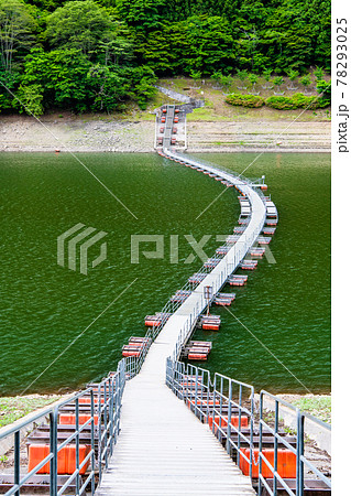 東京都奥多摩町 奥多摩湖のドラム缶橋(留浦の浮橋) 東京都奥多摩町 奥多摩湖のドラム缶橋(留浦の浮橋) 78293025