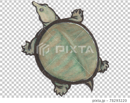 手描き飲食メニュー スッポン 手描き飲食メニュー スッポン 78293220