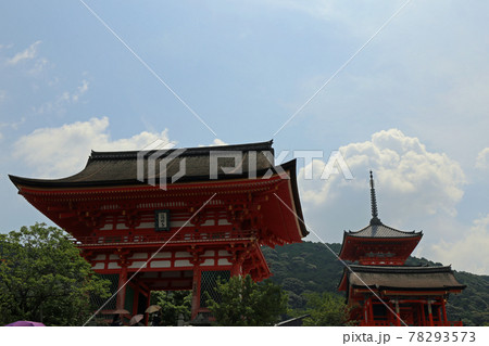 初夏の清水寺 初夏の清水寺 78293573