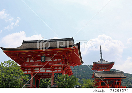 初夏の清水寺 初夏の清水寺 78293574