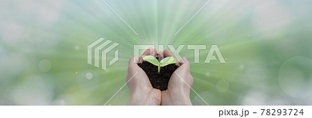 概念:エコロジー(苗を植えて森を育てる)、森林を守る、環境を守る、小さなことを大きく育てる 概念:エコロジー(苗を植えて森を育てる)、森林を守る、環境を守る、小さなことを大きく育てる 78293724