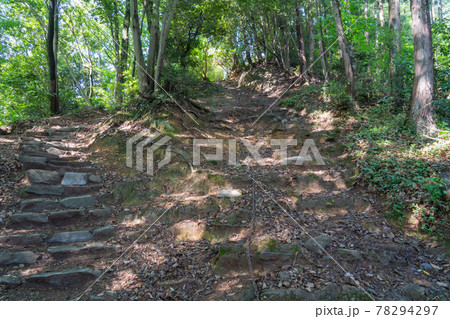 天覧山から多峰主山への登山道(奥武蔵自然公園) 天覧山から多峰主山への登山道(奥武蔵自然公園) 78294297
