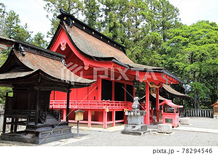 金幣社日吉神社・20（岐阜県安八郡神戸町） 78294546
