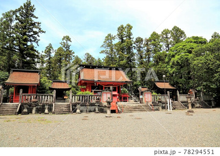 金幣社日吉神社・25（岐阜県安八郡神戸町） 78294551