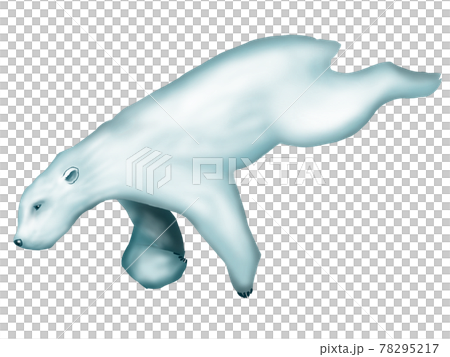 游泳北極熊 78295217