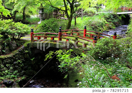 美濃の正倉院両界山横蔵寺・205(岐阜県揖斐郡揖斐川町横蔵) 美濃の正倉院両界山横蔵寺・205(岐阜県揖斐郡揖斐川町横蔵) 78295715