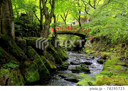 美濃の正倉院両界山横蔵寺・210(岐阜県揖斐郡揖斐川町横蔵) 美濃の正倉院両界山横蔵寺・210(岐阜県揖斐郡揖斐川町横蔵) 78295725