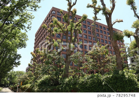 高等裁判所、名古屋地方裁判所等が入る庁舎 78295748
