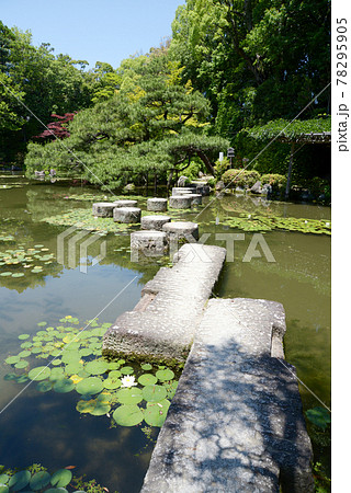 平安神宮神泉苑 臥龍橋 京都市 平安神宮神泉苑 臥龍橋 京都市 78295905
