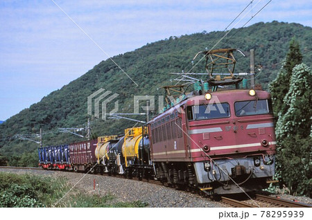 JR貨物　EF81牽引貨物列車 78295939