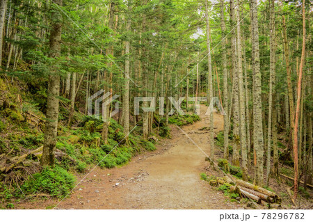 日光白根山登山道 日光白根山登山道 78296782