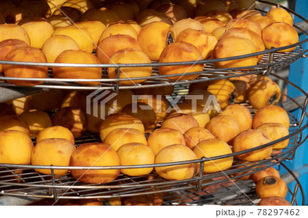 dried up persimmon under the sun 78297462