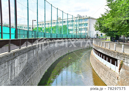 妙正寺川落合調節池/落合公園周辺(東京都新宿区)【2021.6】 妙正寺川落合調節池/落合公園周辺(東京都新宿区)【2021.6】 78297575