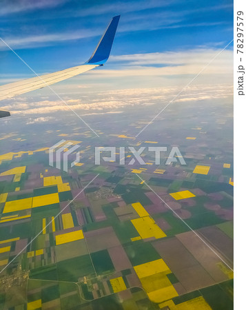 Incredibly beautiful landscape of flowering buckwheat field 78297579