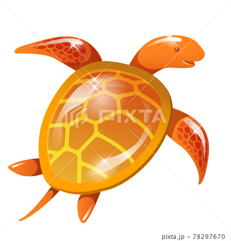 海の生き物 ウミガメのイラスト素材