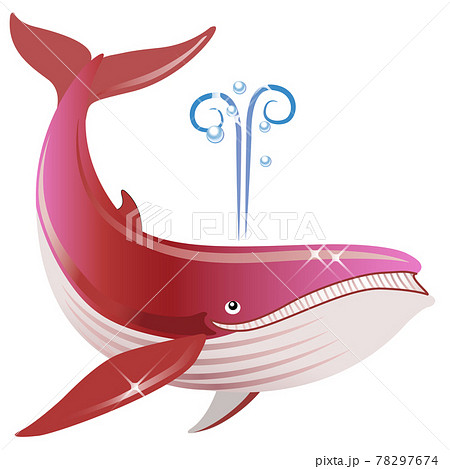 海の生き物 クジラのイラスト素材