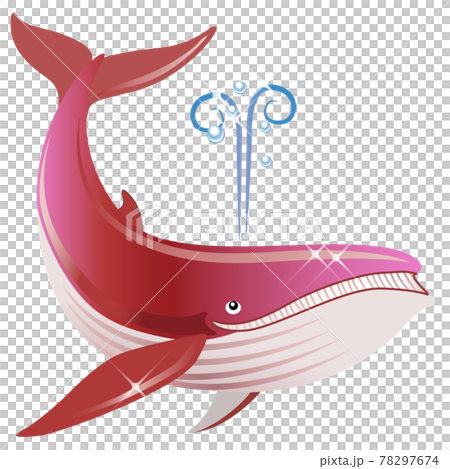 Sea creatures-whales Sea creatures-whales 78297674