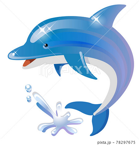 海の生き物 イルカのイラスト素材