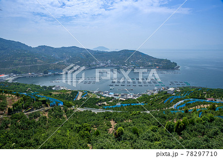 宇和海の養殖いかだと段々畑（愛媛県八幡浜川上） 78297710