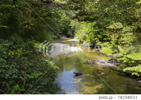 ニュージーランド　ケプラートラック 78298031