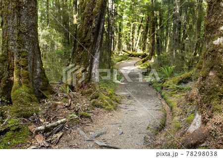 ニュージーランド　ケプラートラック 78298038