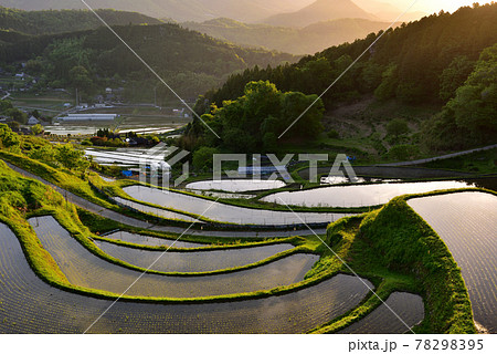 長谷の棚田 長谷の棚田 78298395