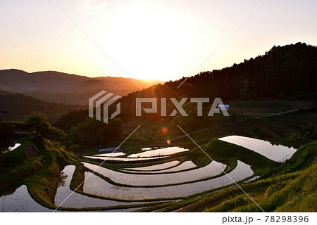 長谷の棚田 78298396