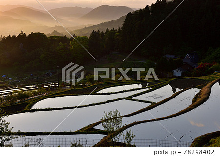 長谷の棚田 78298402