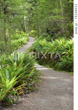 ニュージーランド　ケプラートラック 78298452