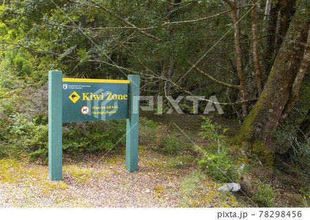 ニュージーランド　ケプラートラック　キーウィ保護区 78298456