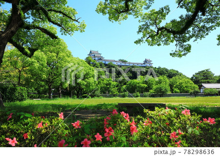 初夏の和歌山城 初夏の和歌山城 78298636