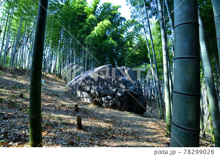 奈良県橿原市白橿町にある県指定史跡、巨石物「益田岩船」 奈良県橿原市白橿町にある県指定史跡、巨石物「益田岩船」 78299026