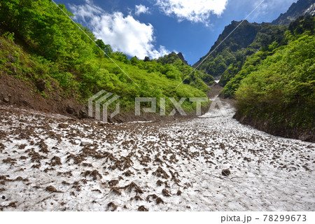 谷川岳一ノ倉沢一ノ沢出合から見上げる初夏の一ノ沢の雪渓と東尾根 谷川岳一ノ倉沢一ノ沢出合から見上げる初夏の一ノ沢の雪渓と東尾根 78299673
