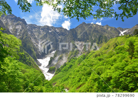 谷川岳一ノ倉沢出合付近から見た初夏の一ノ倉沢の雪渓と岩壁 78299690