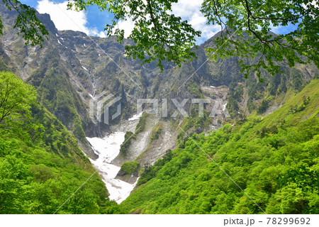 谷川岳一ノ倉沢出合付近から見た初夏の一ノ倉沢の雪渓と岩壁 78299692