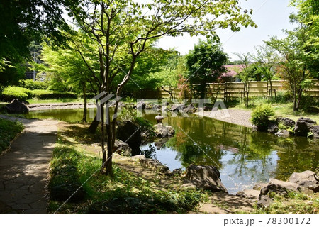 綾瀬市 城山公園(早川城跡)の日本庭園と新緑 綾瀬市 城山公園(早川城跡)の日本庭園と新緑 78300172