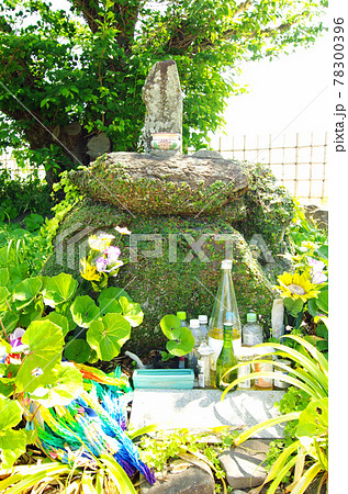 原城跡の天草四郎時貞の墓碑 原城跡の天草四郎時貞の墓碑 78300396