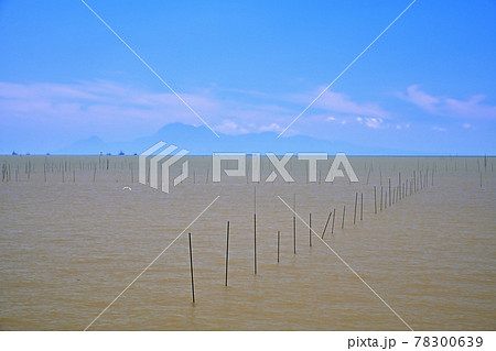 夏めく有明海 青い空と雲 夏めく有明海 青い空と雲 78300639