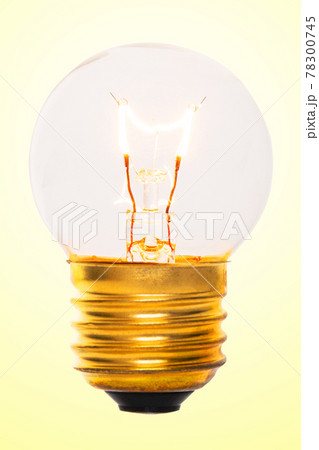 電球 電球 78300745