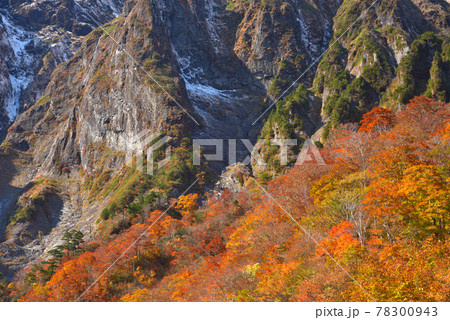 谷川岳一ノ倉沢出合いから見た谷川岳一ノ倉沢の紅葉と衝立岩 谷川岳一ノ倉沢出合いから見た谷川岳一ノ倉沢の紅葉と衝立岩 78300943
