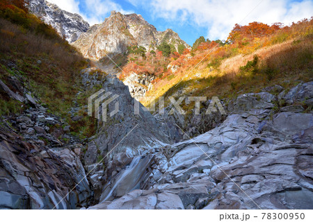 谷川岳一ノ倉沢一の沢出合い付近から見た紅葉と衝立岩 谷川岳一ノ倉沢一の沢出合い付近から見た紅葉と衝立岩 78300950
