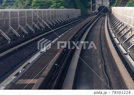 台湾 傾く コウバイ 78301229