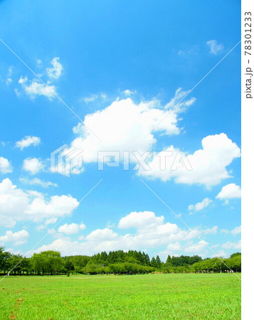夏の草原と林のあるみさと公園風景 夏の草原と林のあるみさと公園風景 78301233