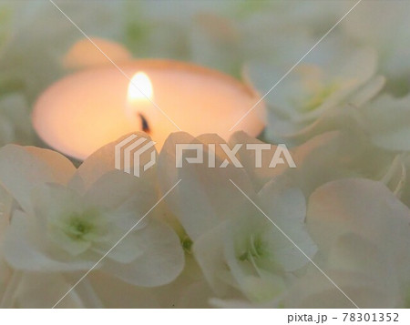 柏葉アジサイと火の灯ったキャンドル 78301352
