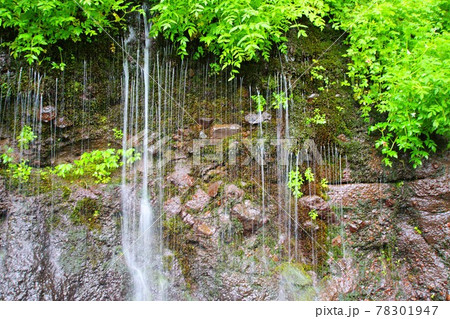 長寿の滝 湧き水/那須塩原市県道56号 長寿の滝 湧き水/那須塩原市県道56号 78301947