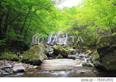 那須塩原の秘境スッカン沢　咆哮霹靂の滝 78301955